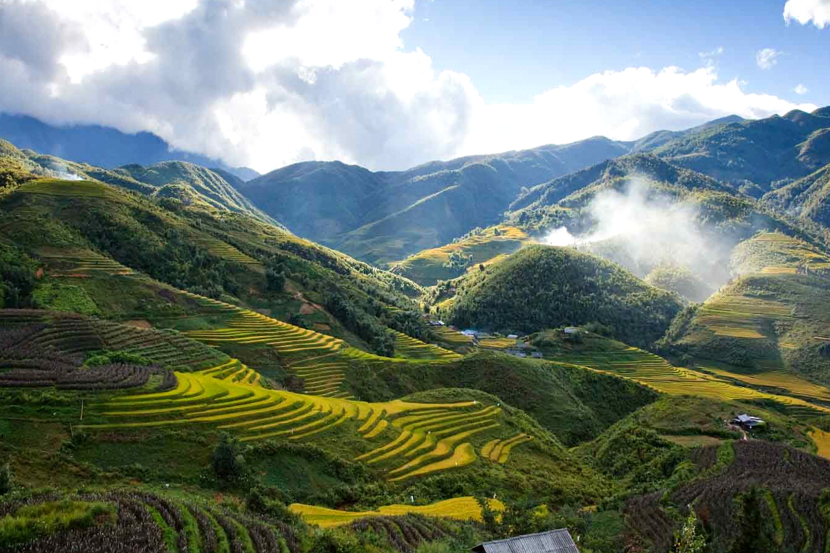 Hills, Backwaters & Beaches